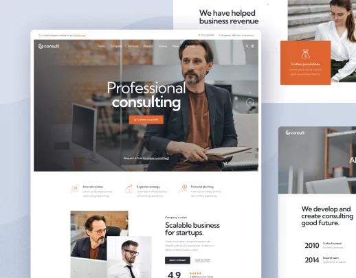 Consulting, Professional services, Startup